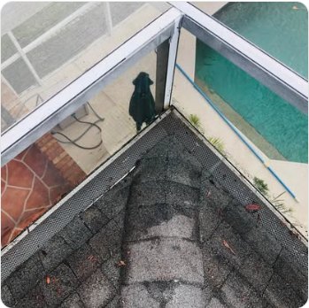 Algae and mildew across the roof panels of a screen enclosure